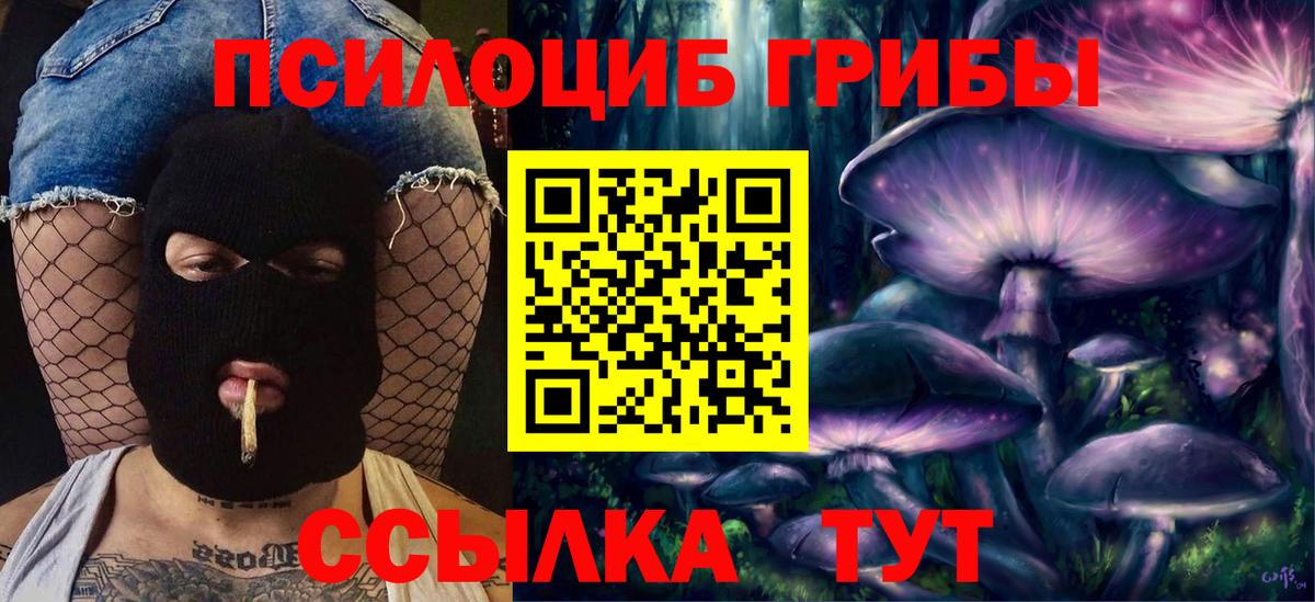 Псилоцибиновые грибы Psilocybe  Вход с VPN  Благодарный 