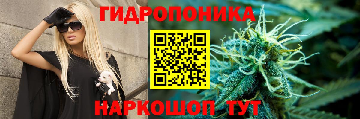 Бошки марихуана VHQ  Вход с VPN  Канабис Amnesia  Благодарный  Каннабис Ganja  Бошки Шишки марихуана 